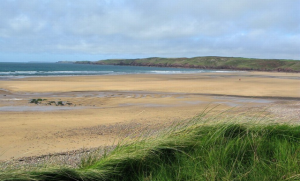 FreshWater West Sand Dunes